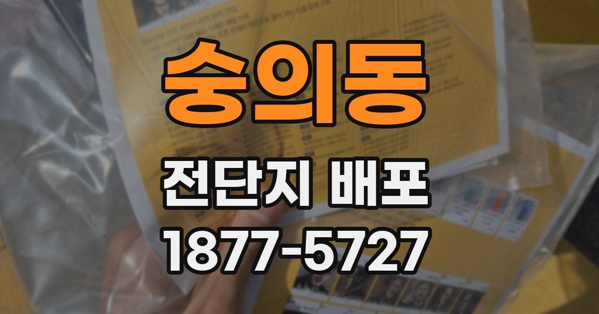 숭의동 전단지 배포