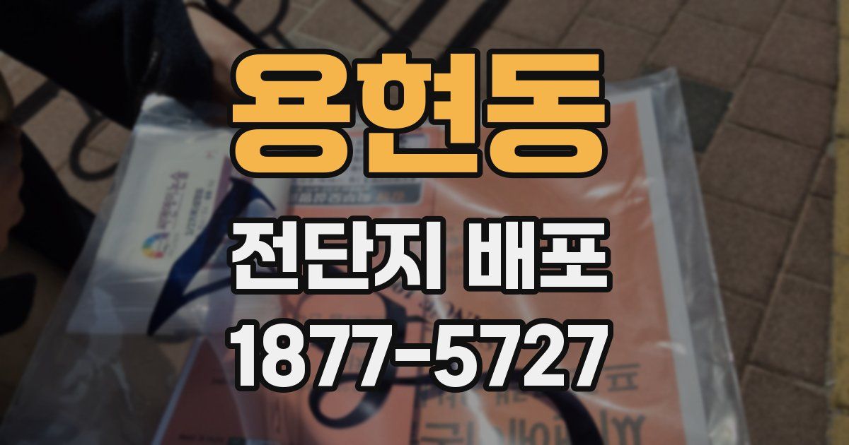 용현동 전단지 배포