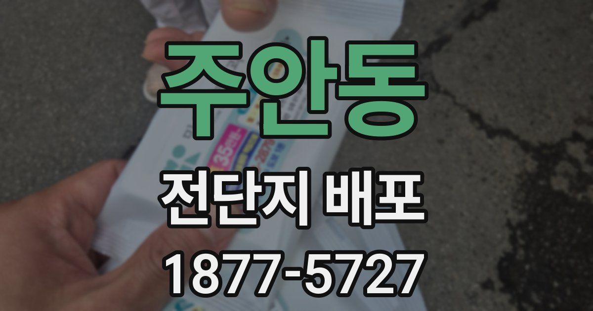 주안동 전단지 배포