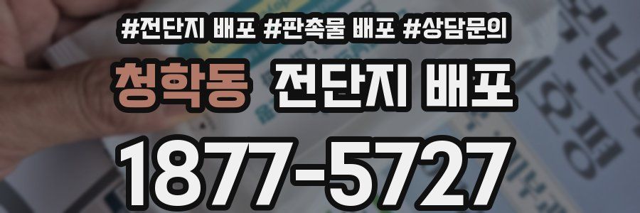 청학동 전단지 배포