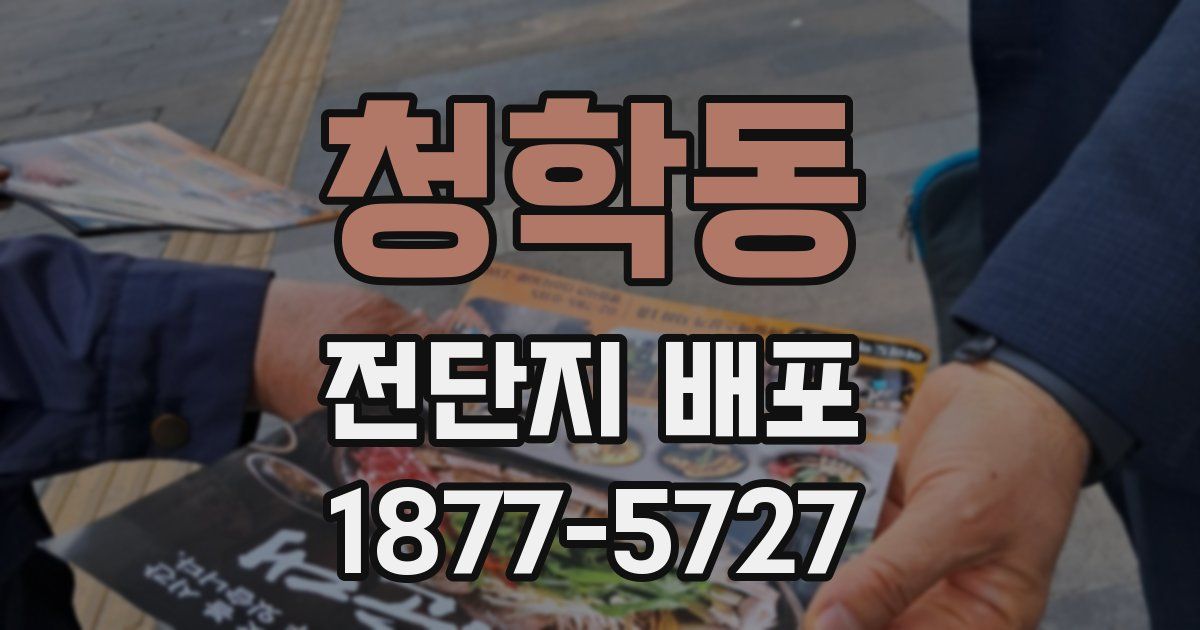 청학동 전단지 배포