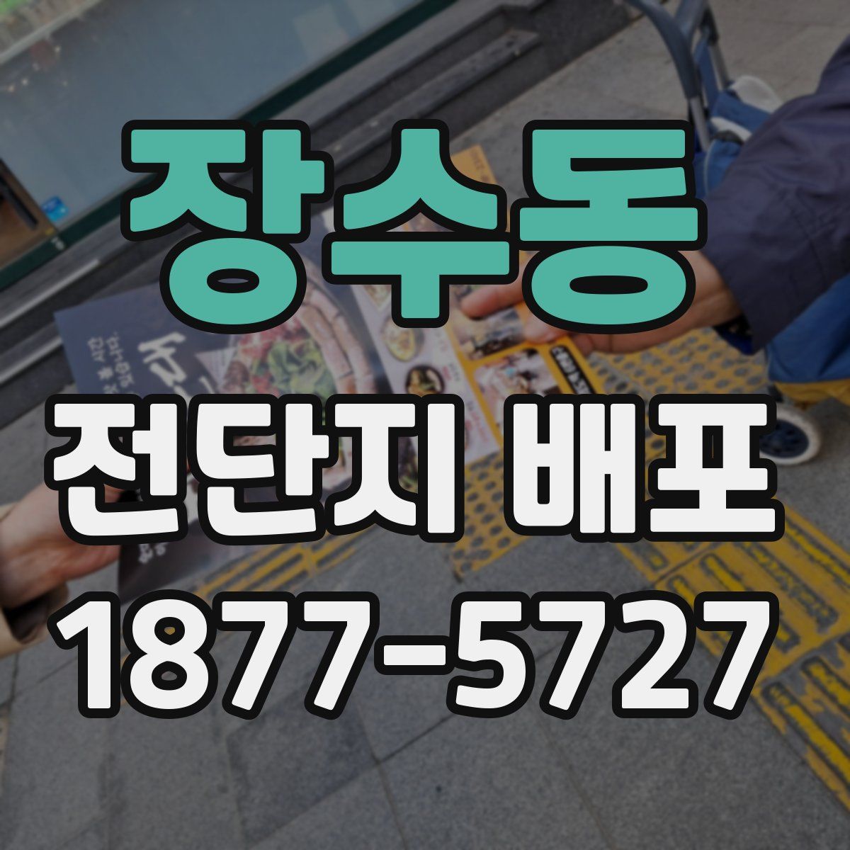 장수동 전단지 배포