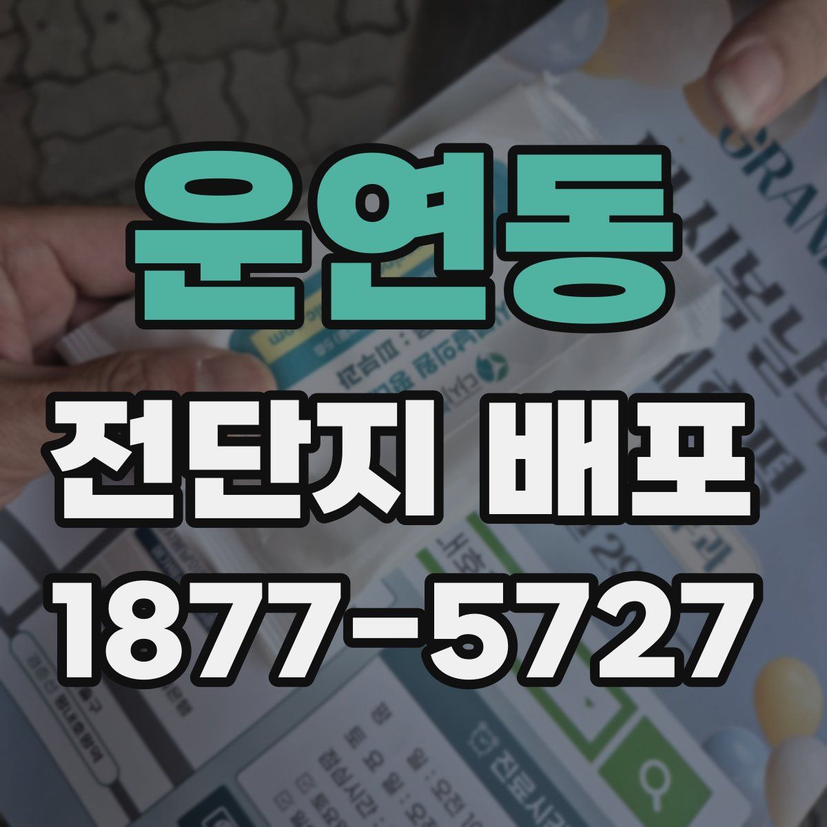 운연동 전단지 배포