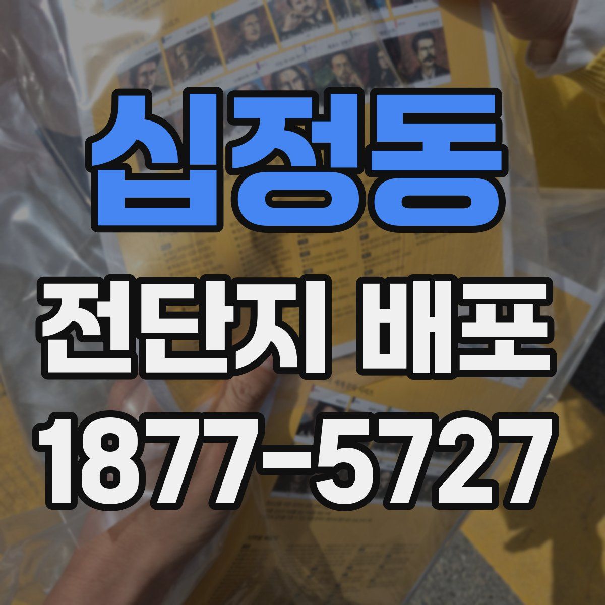 십정동 전단지 배포