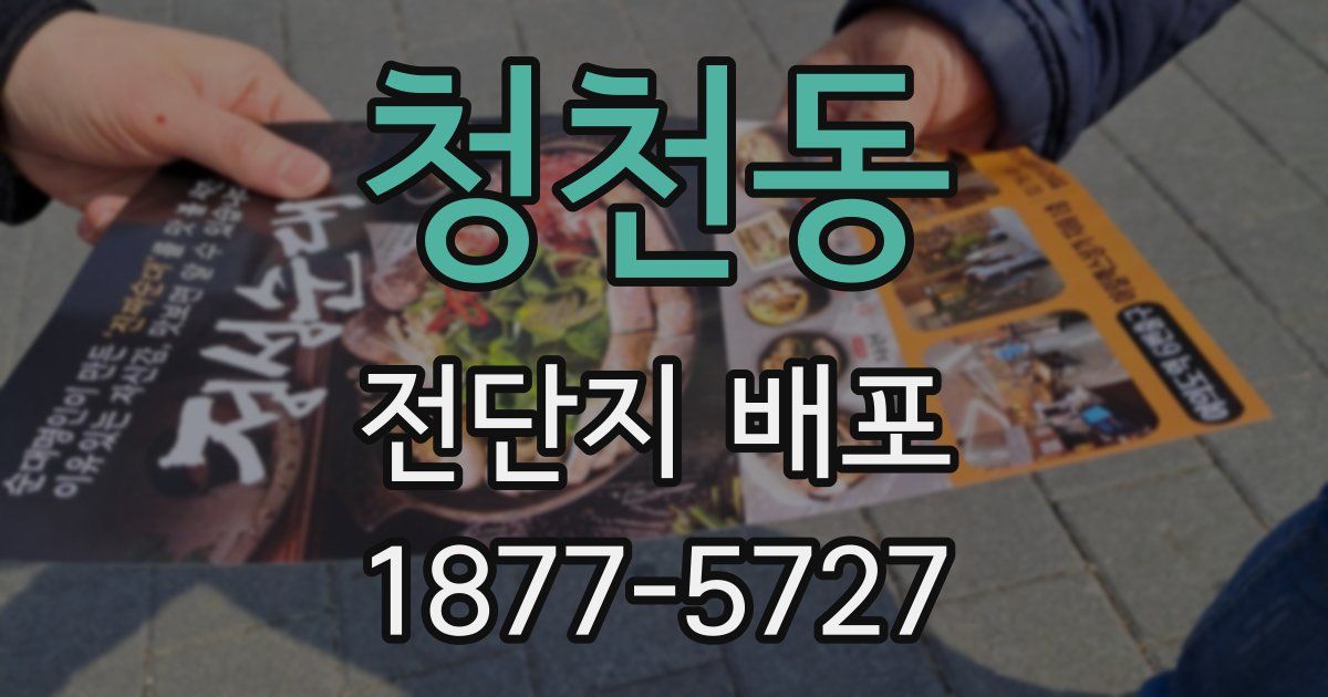 청천동 전단지 배포