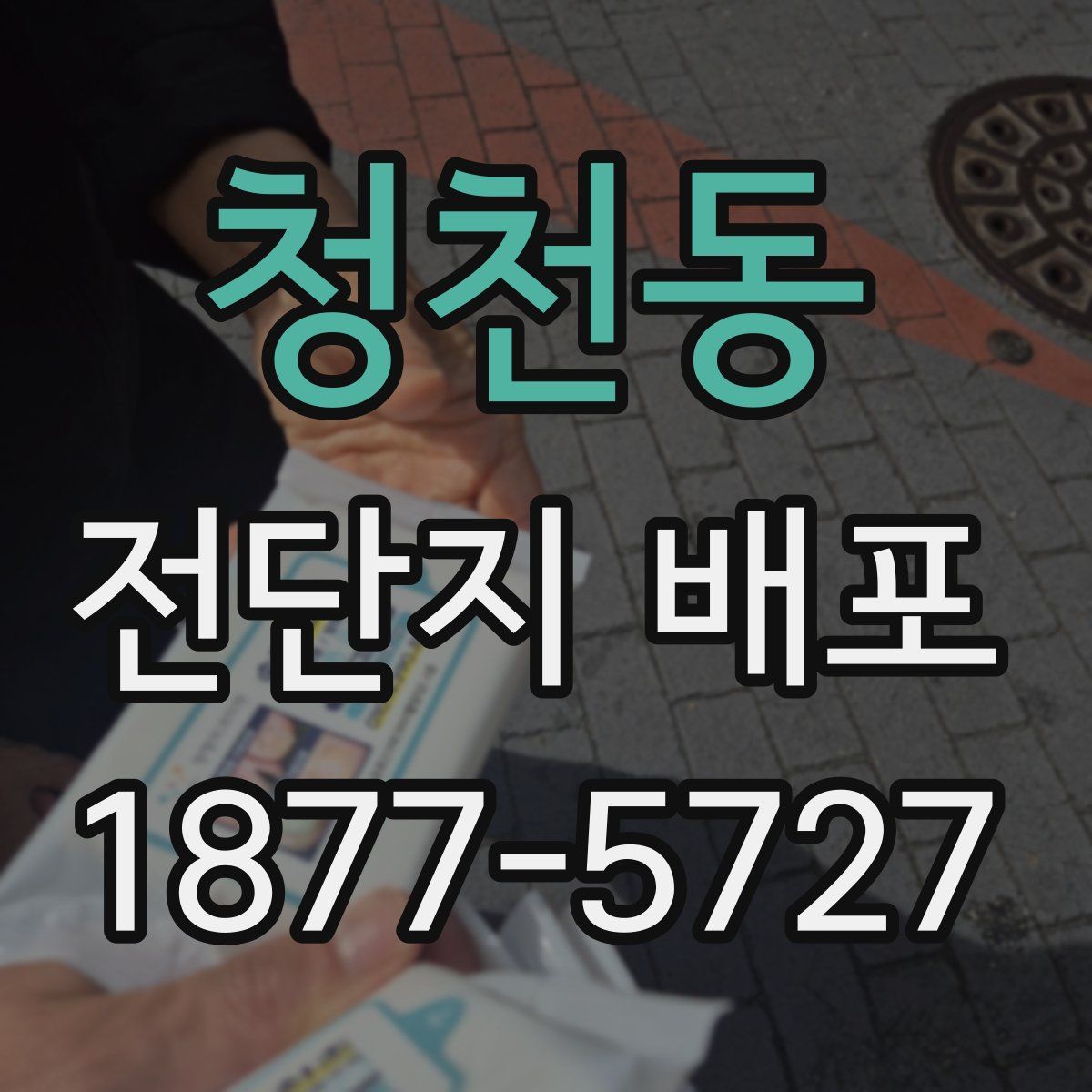 청천동 전단지 배포