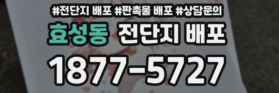 효성동 전단지 배포