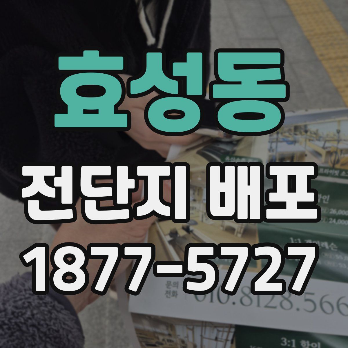 효성동 전단지 배포