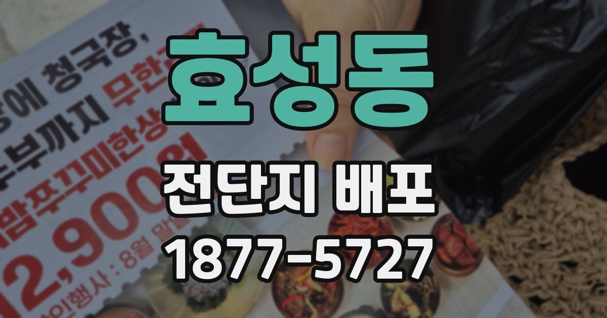 효성동 전단지 배포