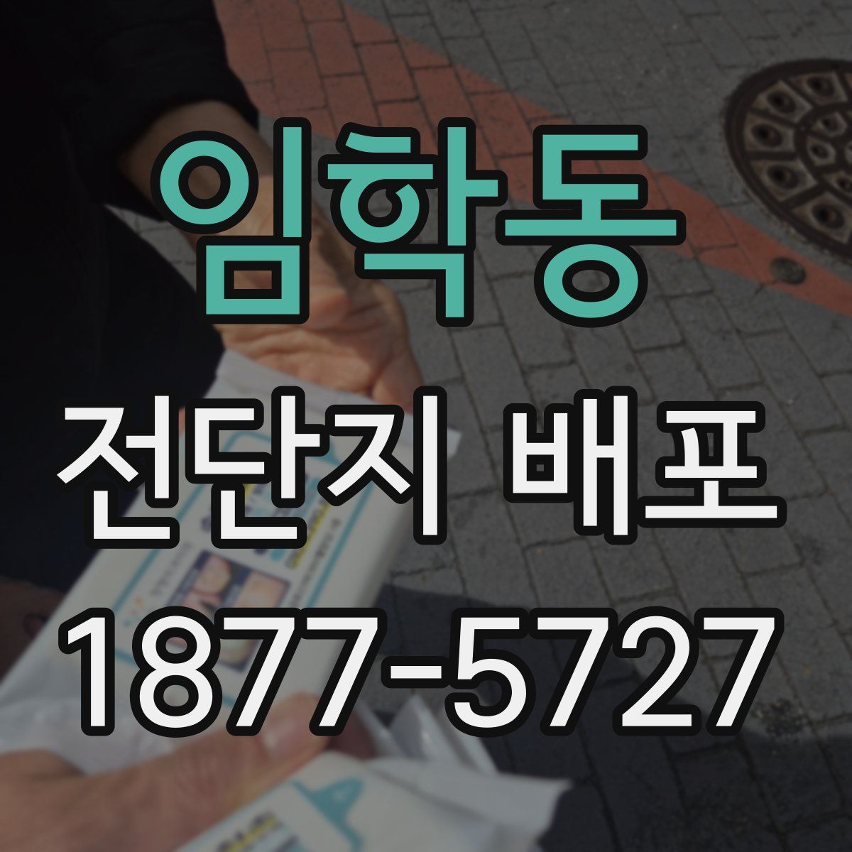 임학동 전단지 배포