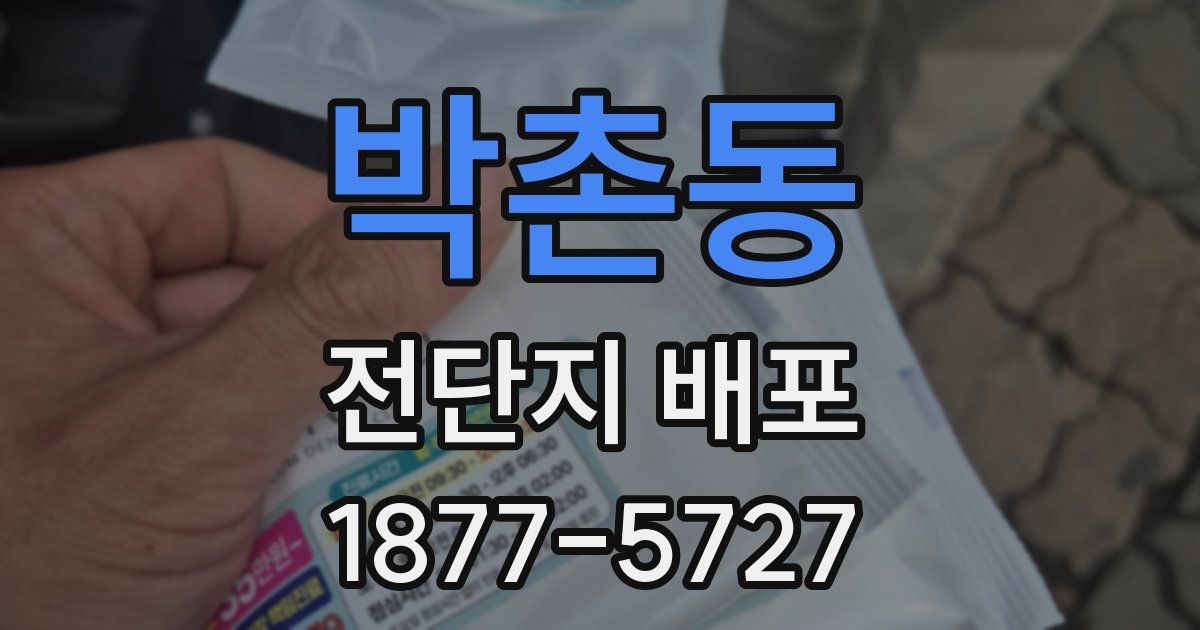 박촌동 전단지 배포
