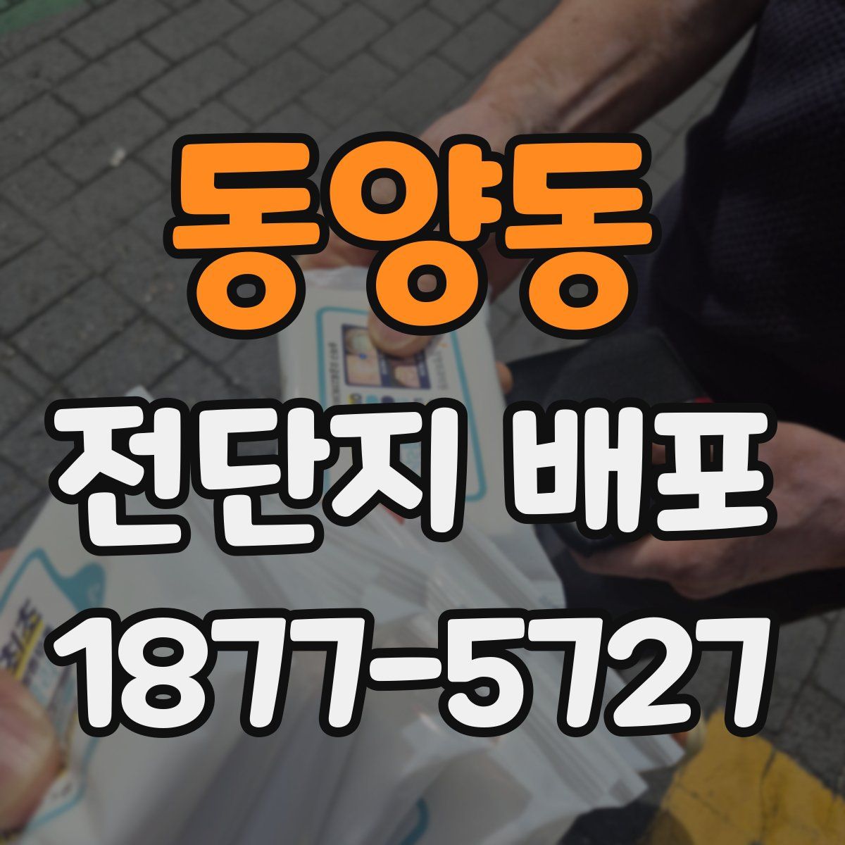 동양동 전단지 배포