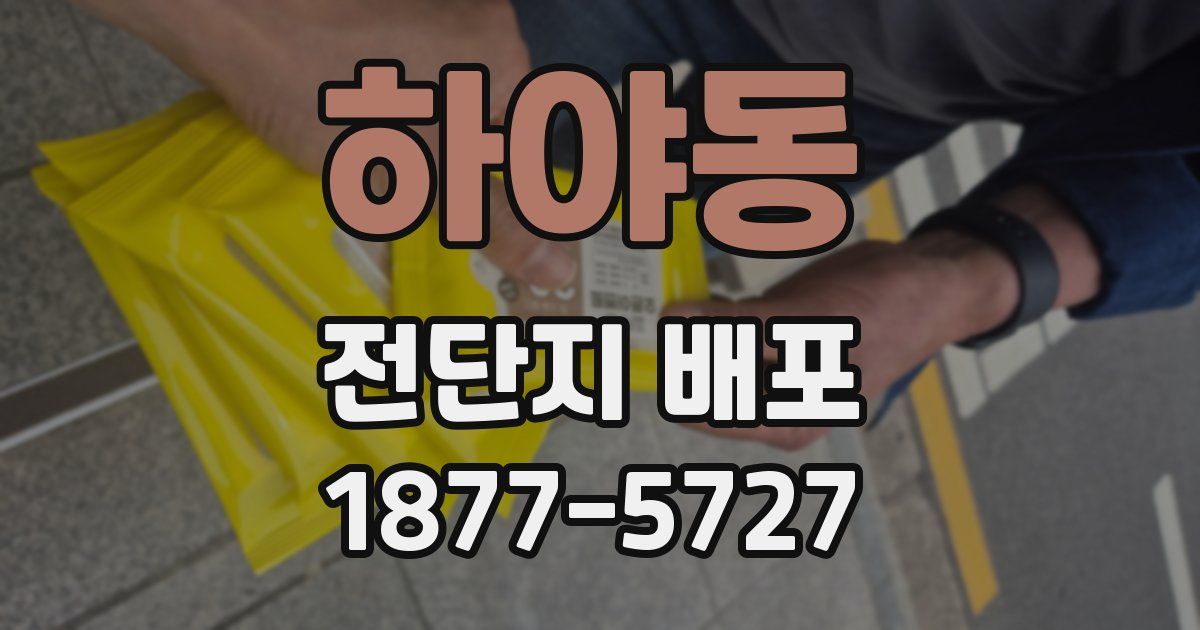 하야동 전단지 배포