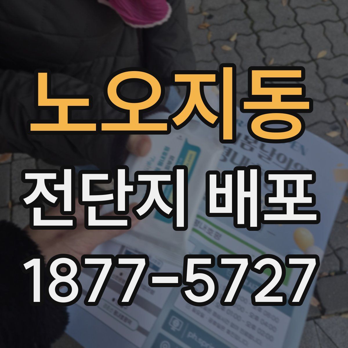 노오지동 전단지 배포