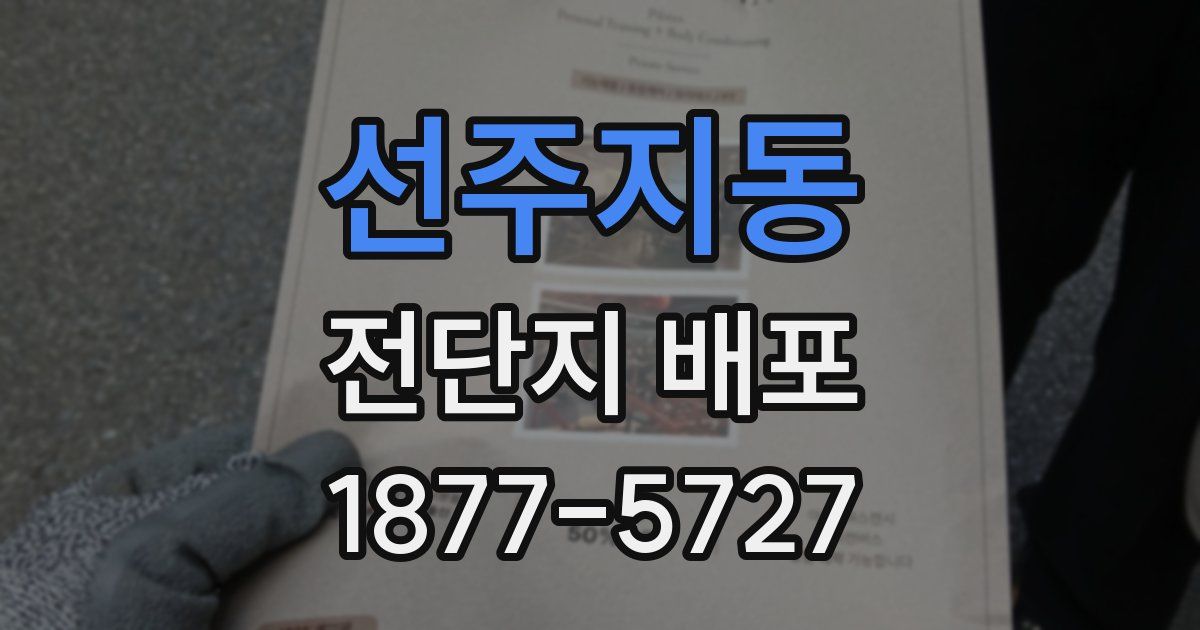 선주지동 전단지 배포
