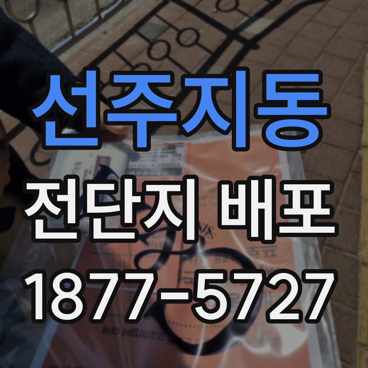 선주지동 전단지 배포