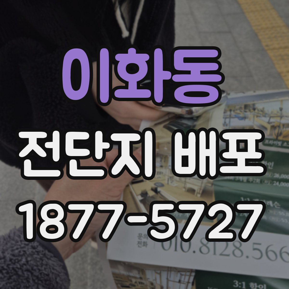 이화동 전단지 배포