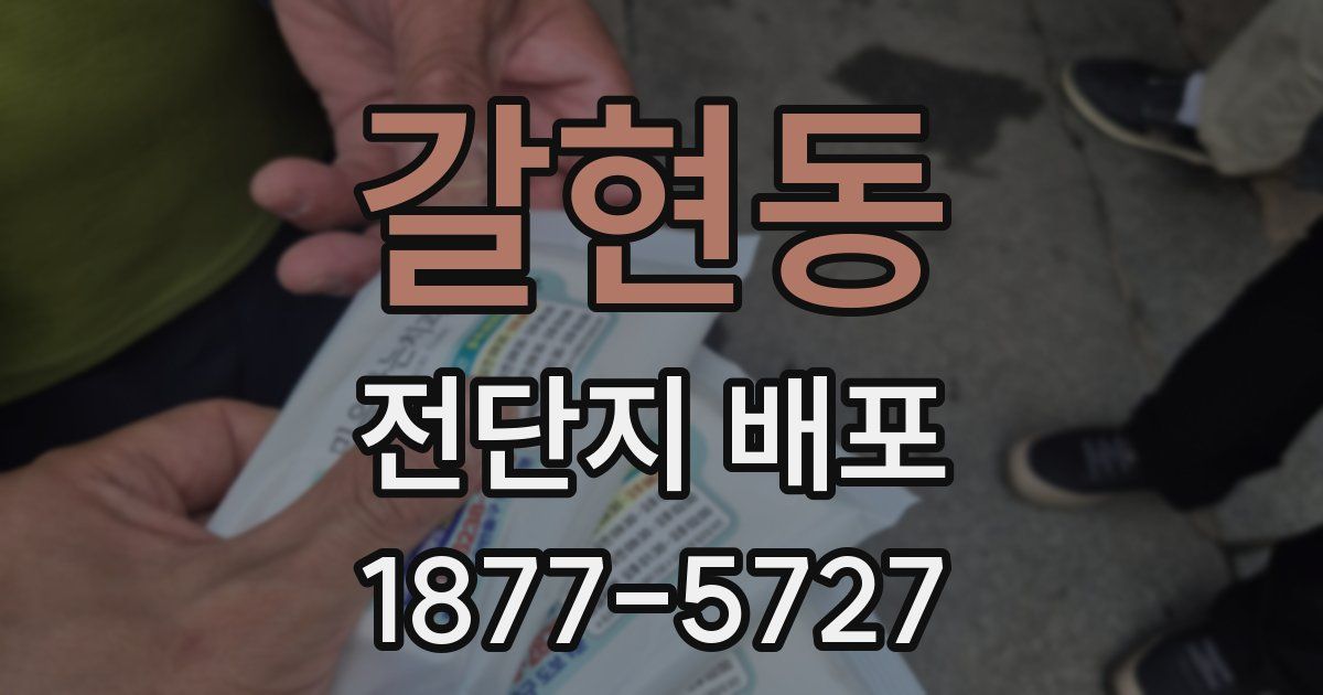 갈현동 전단지 배포