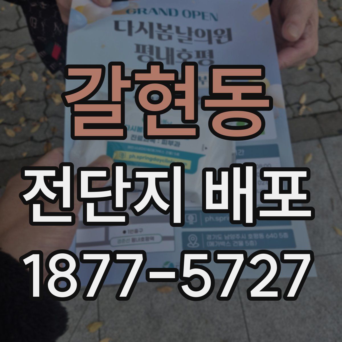 갈현동 전단지 배포