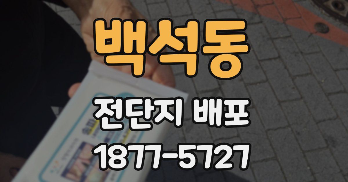 백석동 전단지 배포