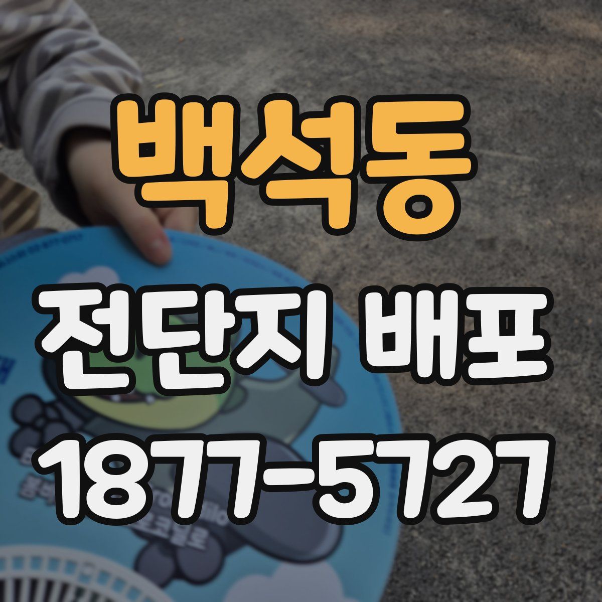 백석동 전단지 배포
