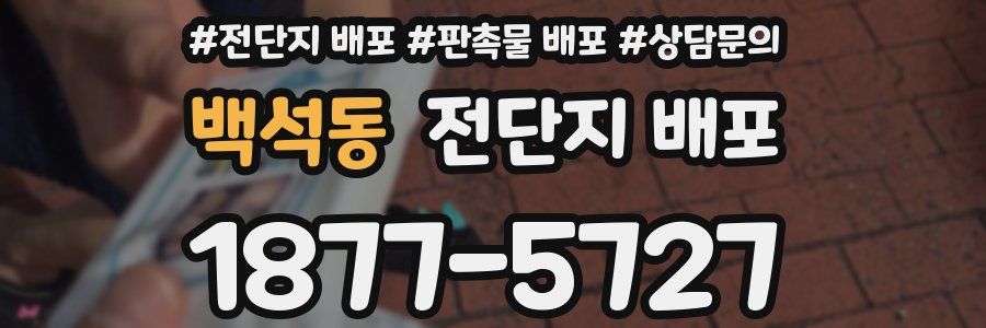 백석동 전단지 배포