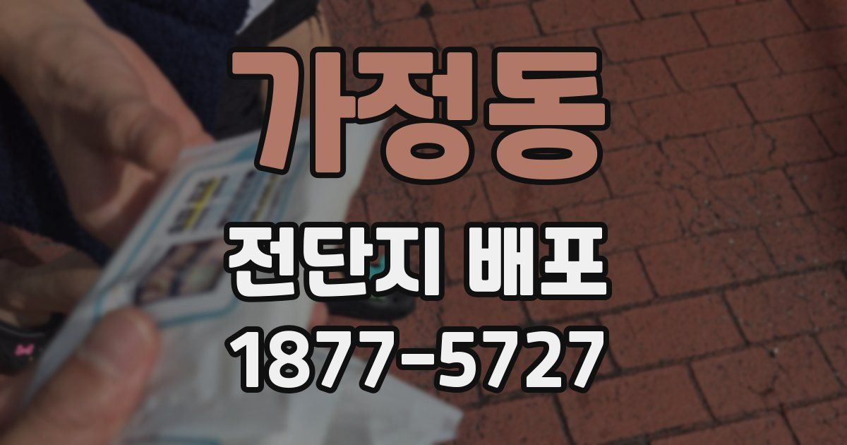가정동 전단지 배포