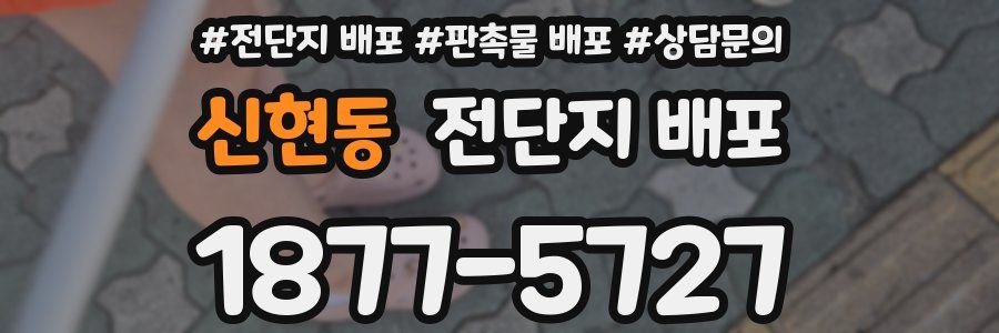 신현동 전단지 배포