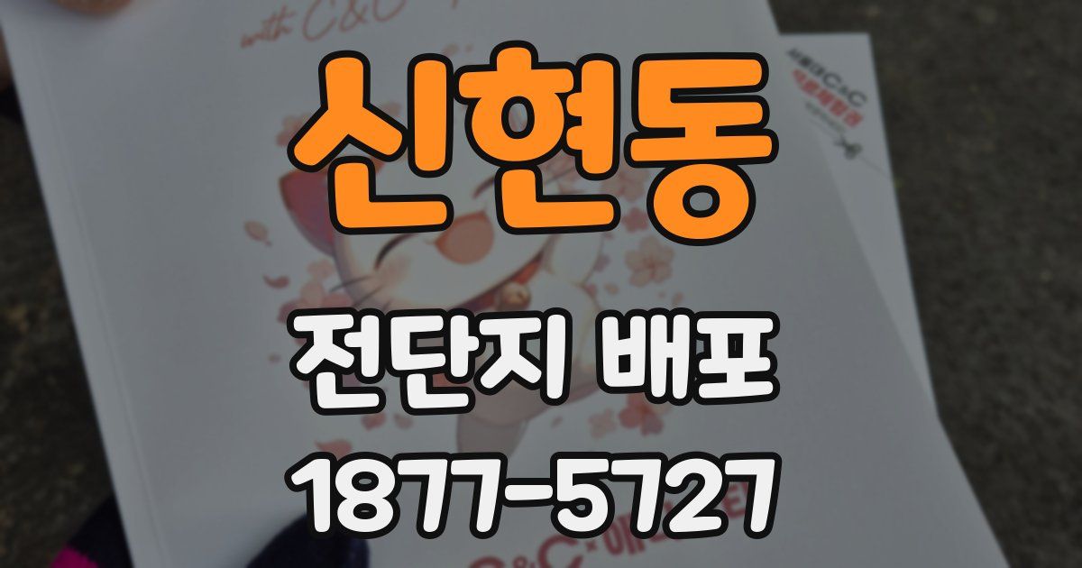 신현동 전단지 배포