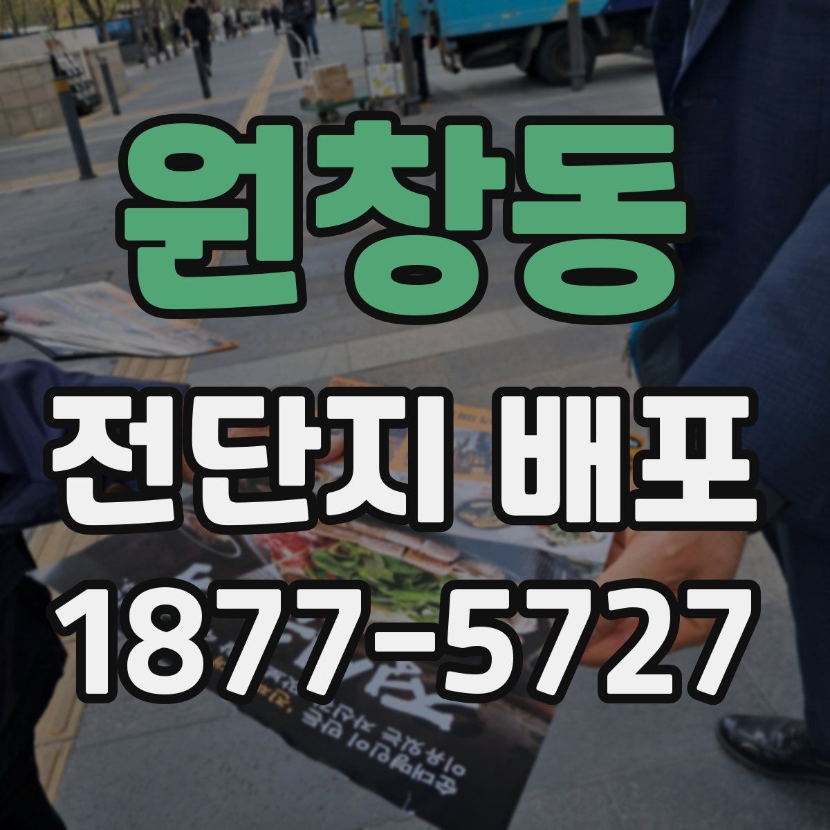 원창동 전단지 배포