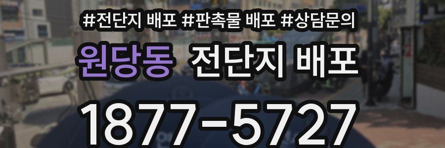 원당동 전단지 배포