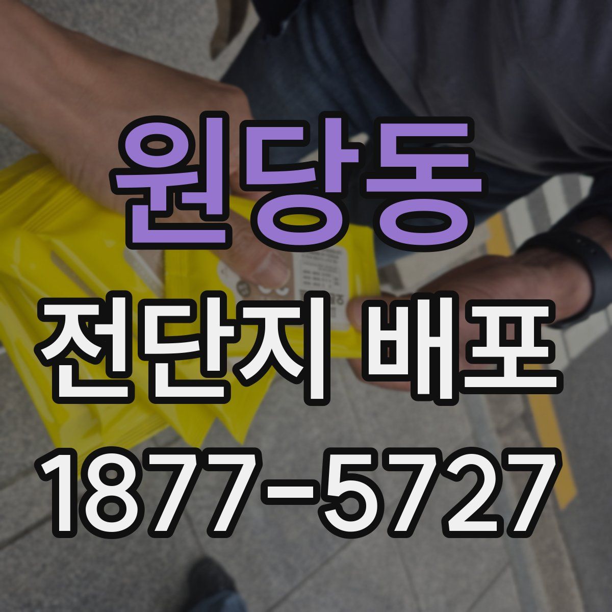 원당동 전단지 배포