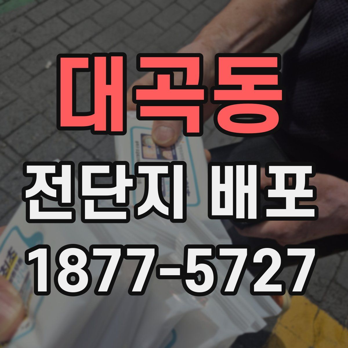 대곡동 전단지 배포