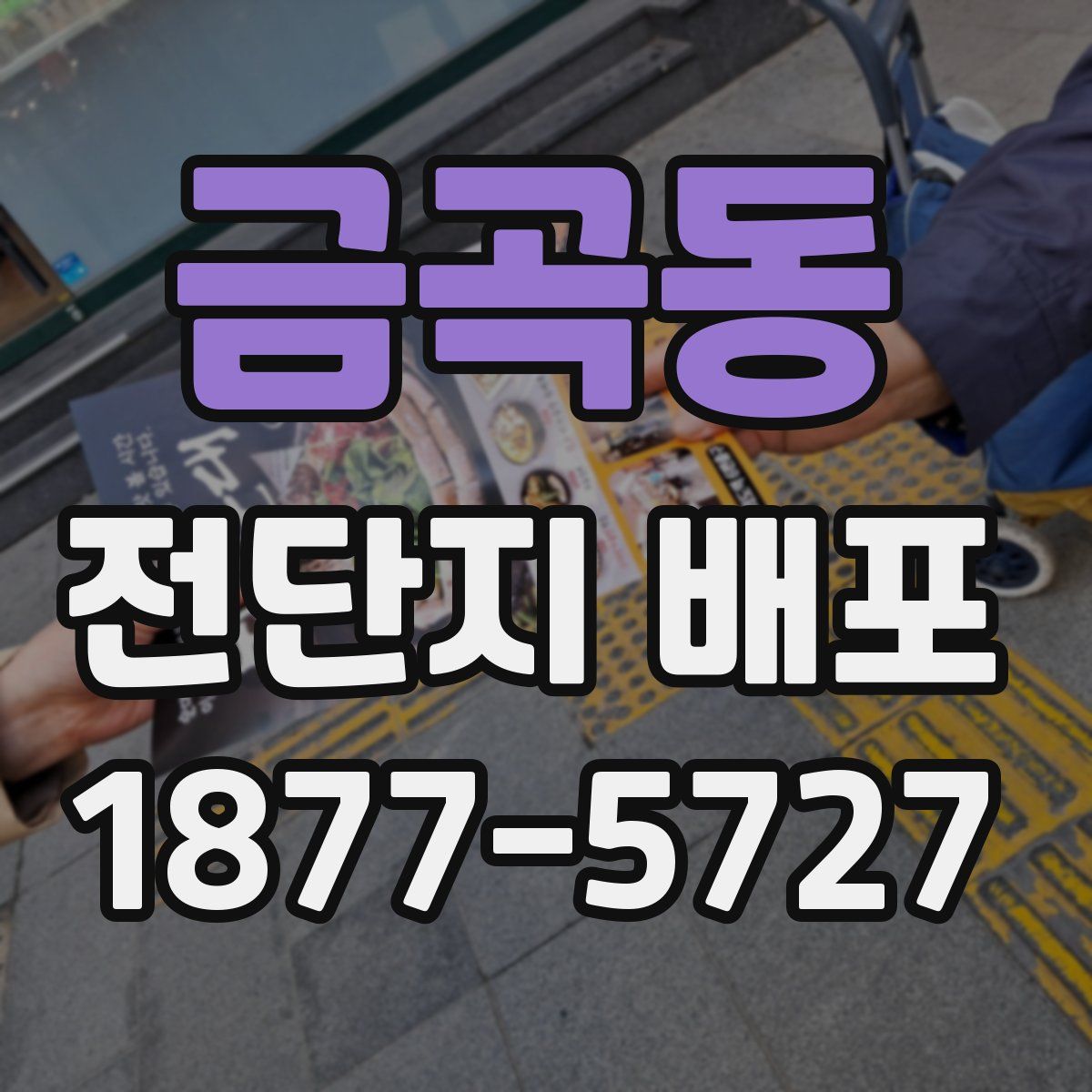 금곡동 전단지 배포