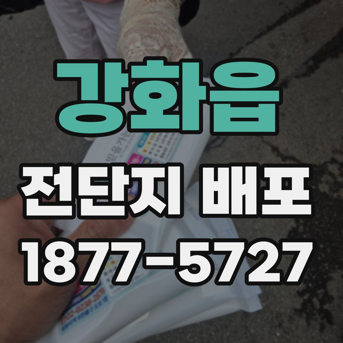 강화읍 전단지 배포