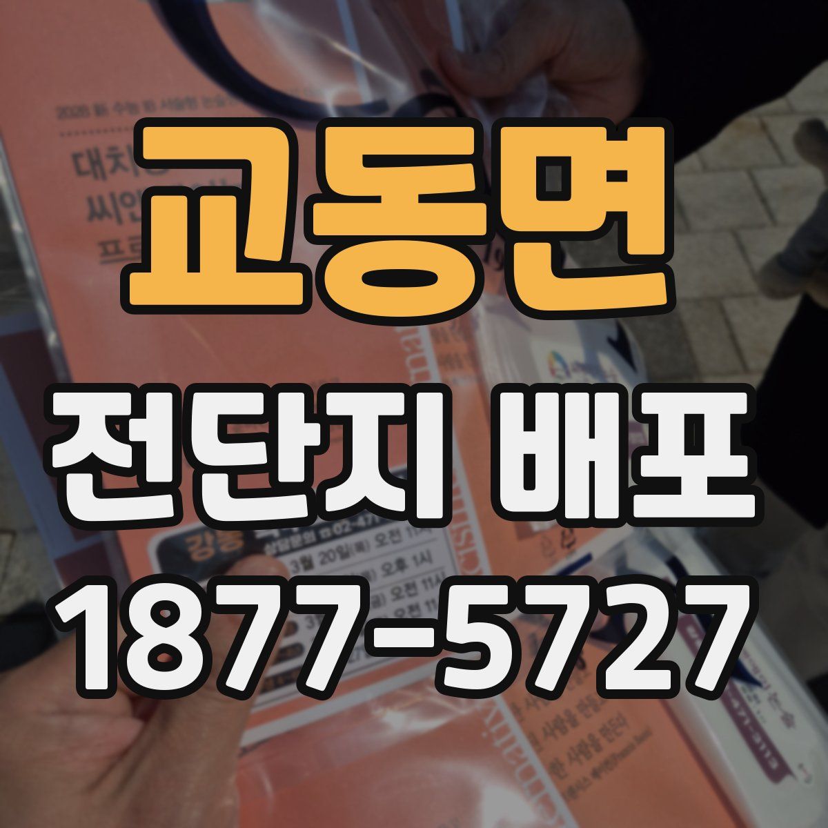 교동면 전단지 배포