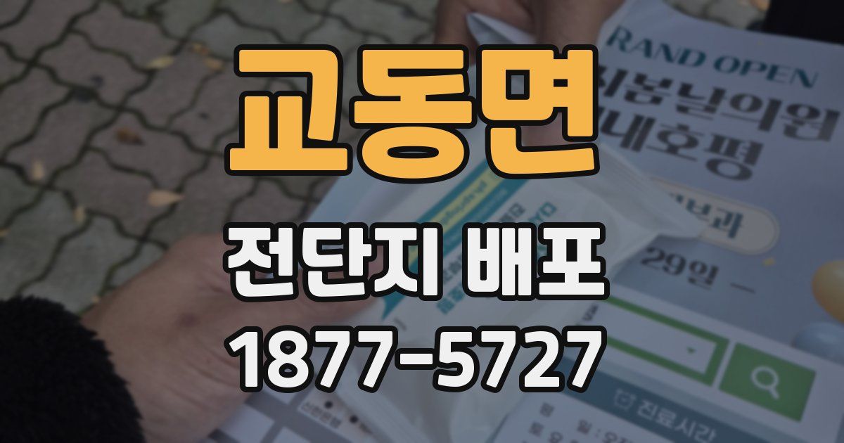교동면 전단지 배포