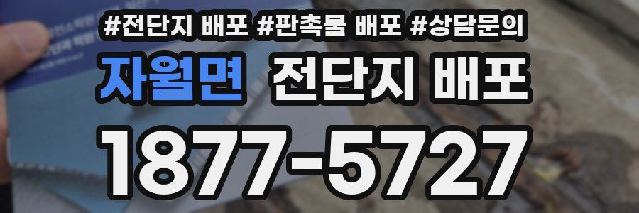 자월면 전단지 배포
