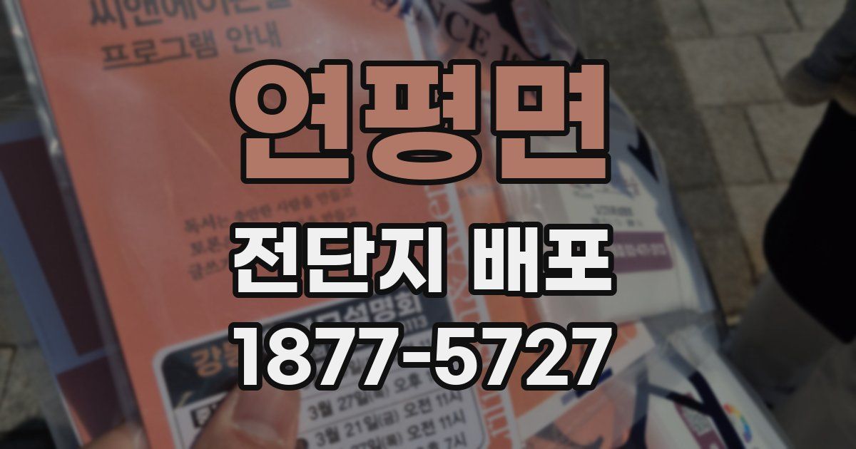 연평면 전단지 배포