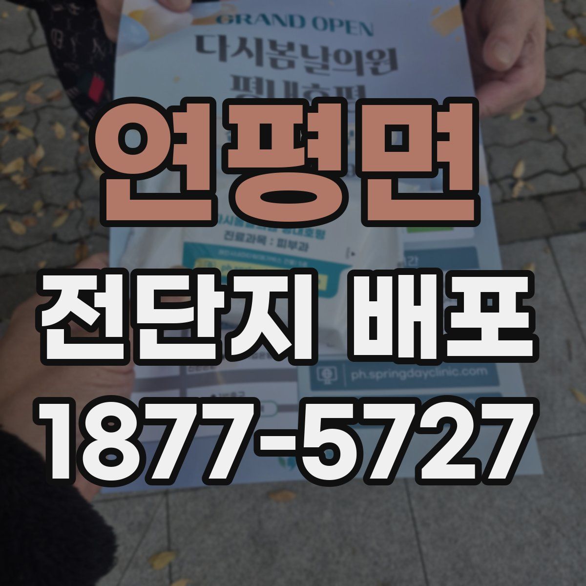 연평면 전단지 배포