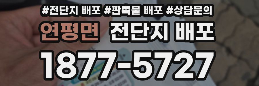 연평면 전단지 배포
