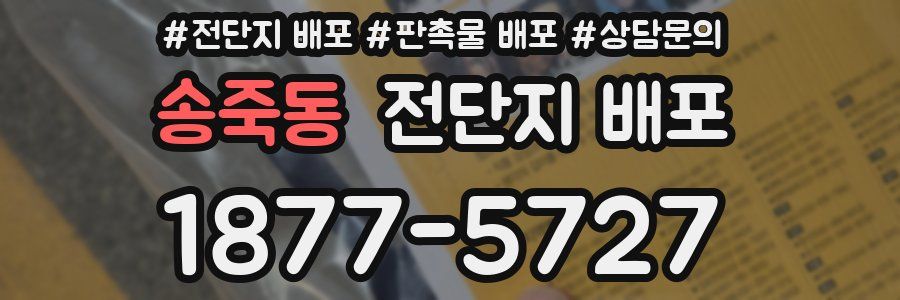 송죽동 전단지 배포