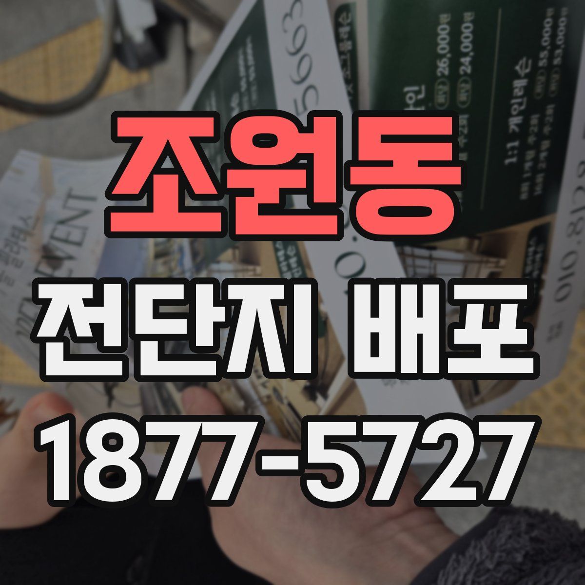 조원동 전단지 배포