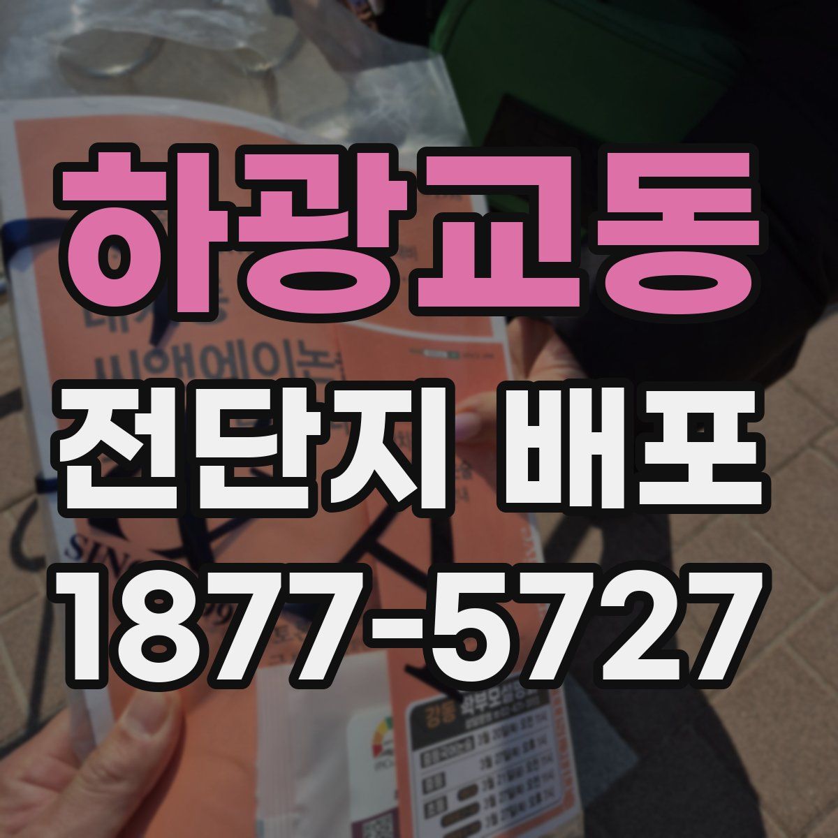 하광교동 전단지 배포