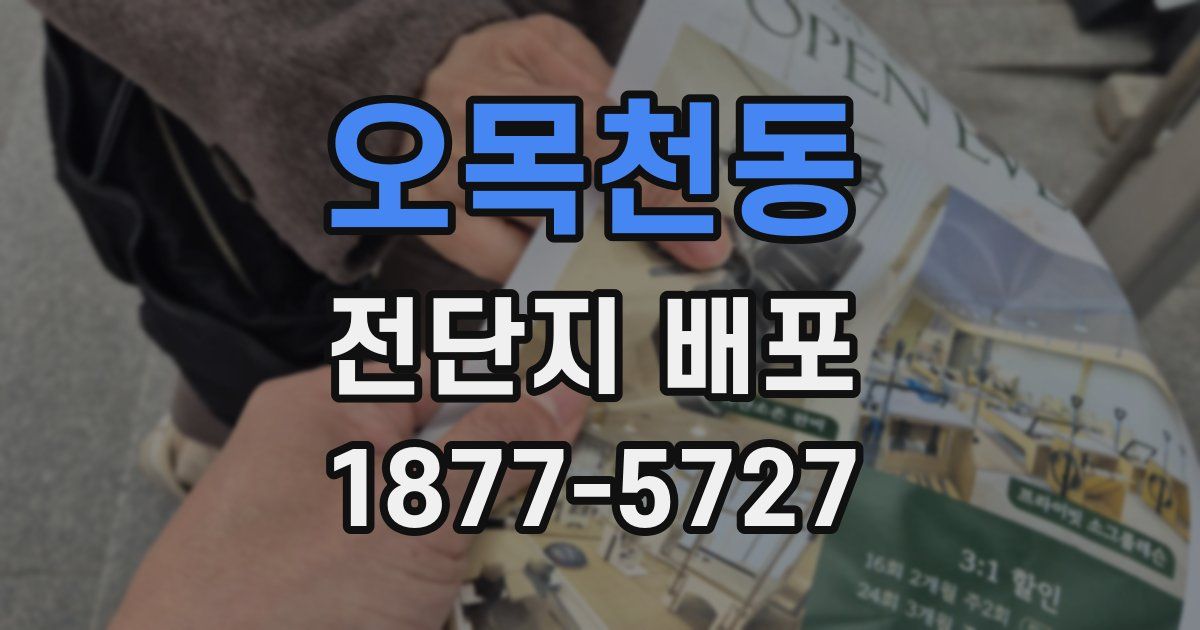 오목천동 전단지 배포
