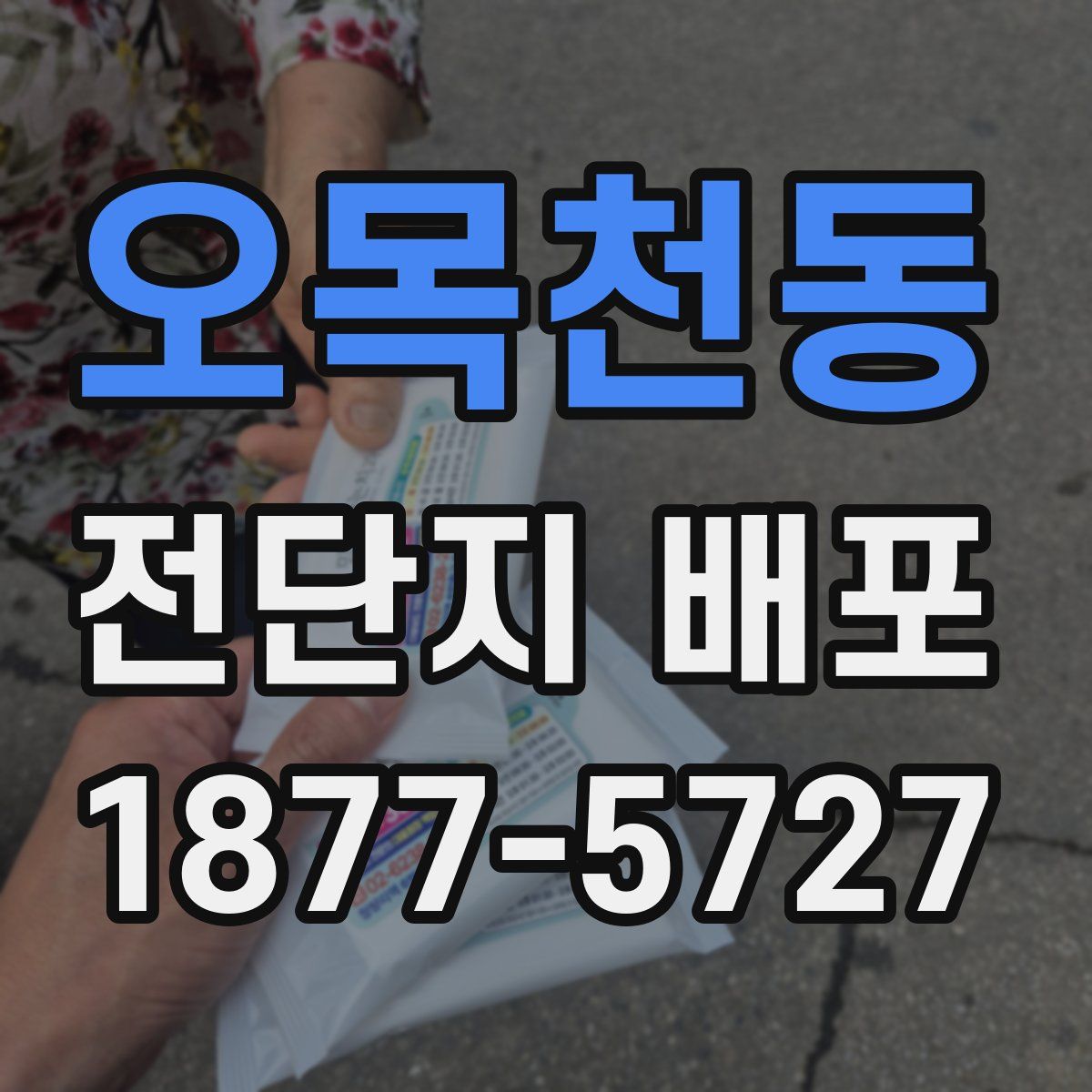 오목천동 전단지 배포