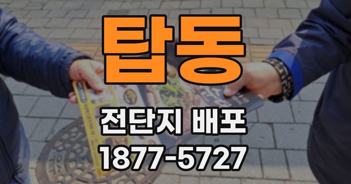탑동 전단지 배포