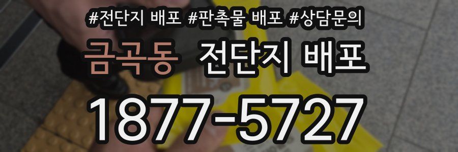 금곡동 전단지 배포