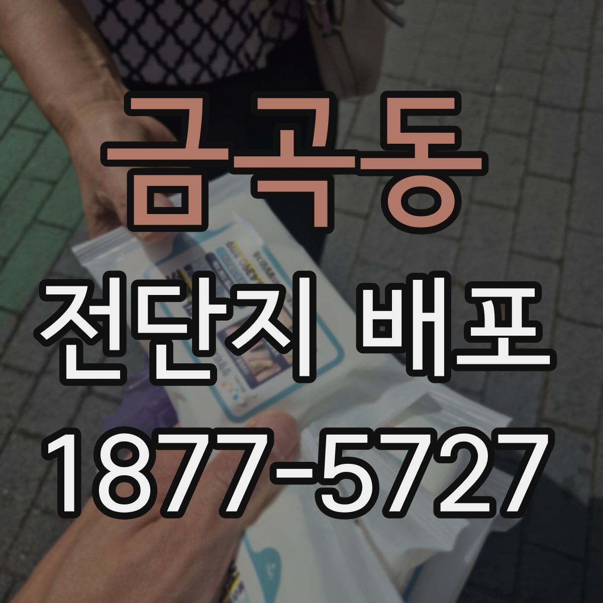 금곡동 전단지 배포