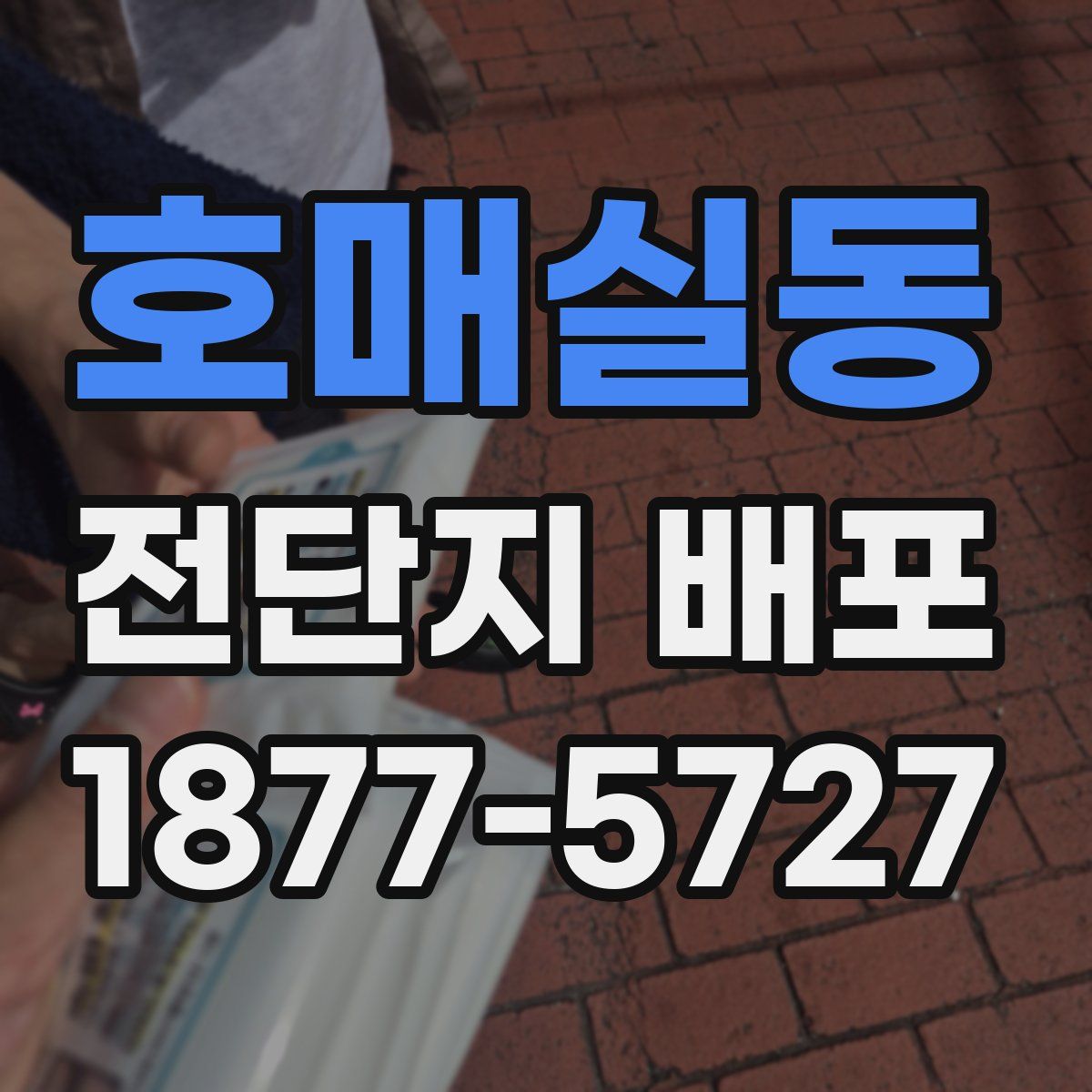 호매실동 전단지 배포